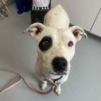 Thumbnail photo of S'more #2