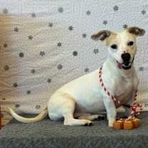 Thumbnail photo of Martin #1