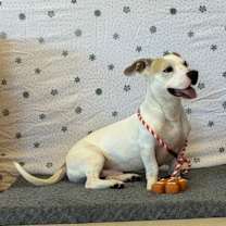 Thumbnail photo of Martin #2