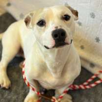 Thumbnail photo of Martin #3