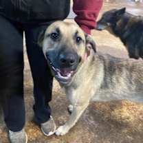 Thumbnail photo of Leland #2