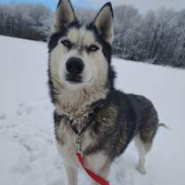 Thumbnail photo of Sky #1