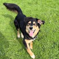 Thumbnail photo of Benny #4