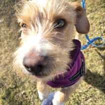 Thumbnail photo of Peaches #1