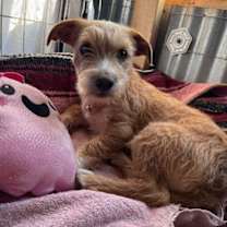 Thumbnail photo of Peaches #3