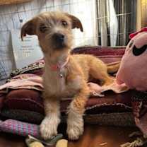 Thumbnail photo of Peaches #4