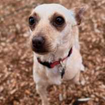 Thumbnail photo of Brewsky #3