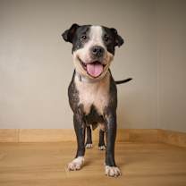 Thumbnail photo of Polly Pocket D66693 #3