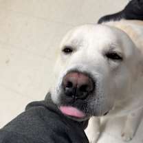 Thumbnail photo of Mulligan #1