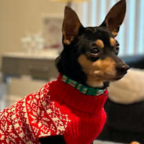 Thumbnail photo of Jake #1