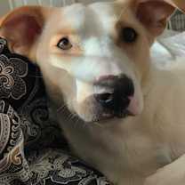 Thumbnail photo of Frankie & Nori #4