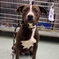 Thumbnail photo of Maverick #3