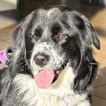 Thumbnail photo of Lucille #1