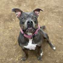 Thumbnail photo of Jade #1