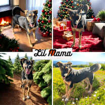 Thumbnail photo of Lil Mama #1