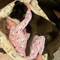 Thumbnail photo of Hershey #3