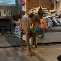 Thumbnail photo of Cruz #3