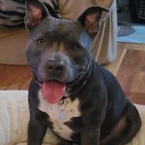 Thumbnail photo of Charity #1