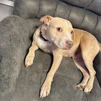 Thumbnail photo of Athena Clayton #2