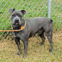 Thumbnail photo of Nimbus #3