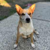 Thumbnail photo of Riddle #1