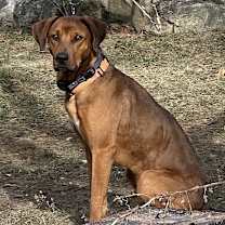 Thumbnail photo of Beau Duke #2