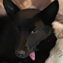 Thumbnail photo of Faith #1