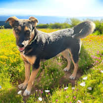 Thumbnail photo of Lil Mama #4