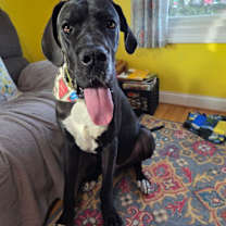 Thumbnail photo of Wilbur #1