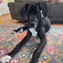 Thumbnail photo of Wilbur #2