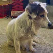 Thumbnail photo of Sylvia #1