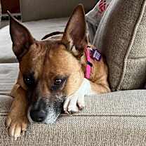 Thumbnail photo of Hannah #3