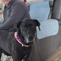 Thumbnail photo of Hazel #3