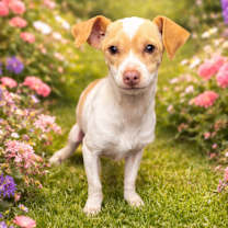 Thumbnail photo of Hannah #4