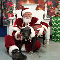 Thumbnail photo of Duke~SPONSORED! #2