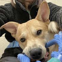 Thumbnail photo of TUCKER #1