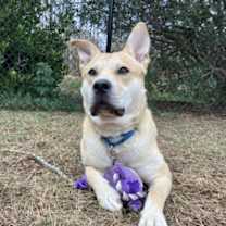 Thumbnail photo of TUCKER #3