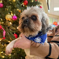 Thumbnail photo of Gizzy #3