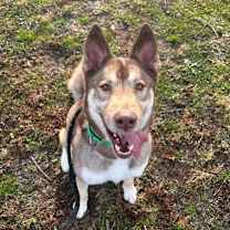 Thumbnail photo of Sven #1