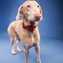 Thumbnail photo of Fay #2