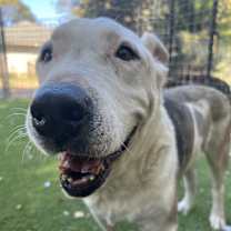 Thumbnail photo of Charlie #1