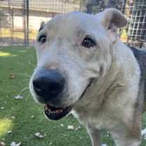 Thumbnail photo of Charlie #4