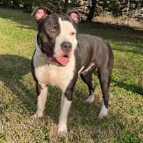 Thumbnail photo of Sophie #2