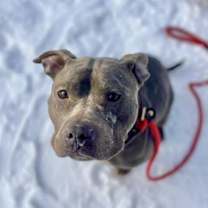 Thumbnail photo of Kruger #1