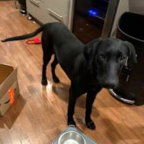 Thumbnail photo of Sissy #3