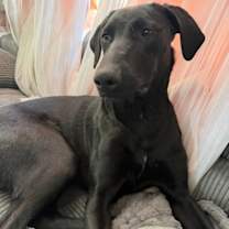 Thumbnail photo of Sissy #4