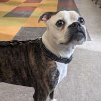 Thumbnail photo of Titan  #2