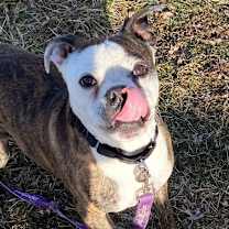 Thumbnail photo of Titan  #3