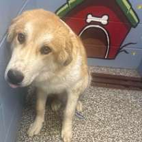 Thumbnail photo of Ragnar #2