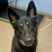 Thumbnail photo of Pastor #2